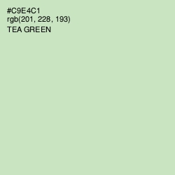 #C9E4C1 - Tea Green Color Image